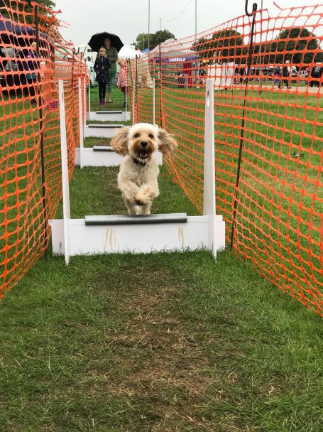 5e59f7cc-45d7-4d08-8fdc-905ee7424a9b