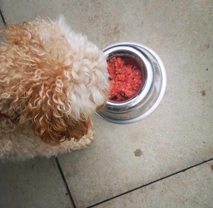 83453825_3114411818651382_3207745304399708472_n